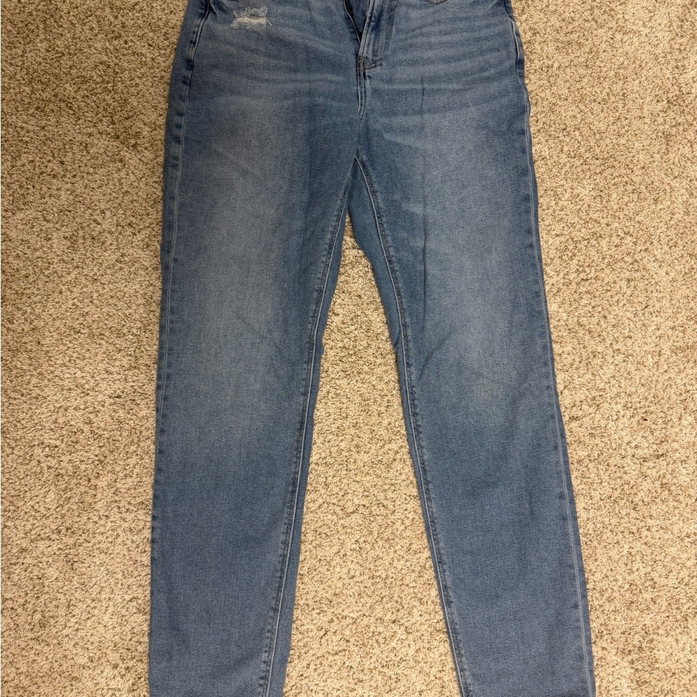 American Eagle Outfitters Blue Skinny Jeans